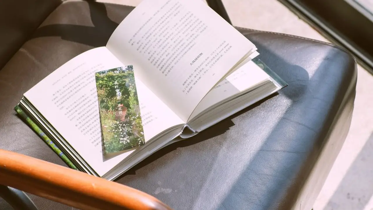 Avt天堂影视爱好者的理想港湾